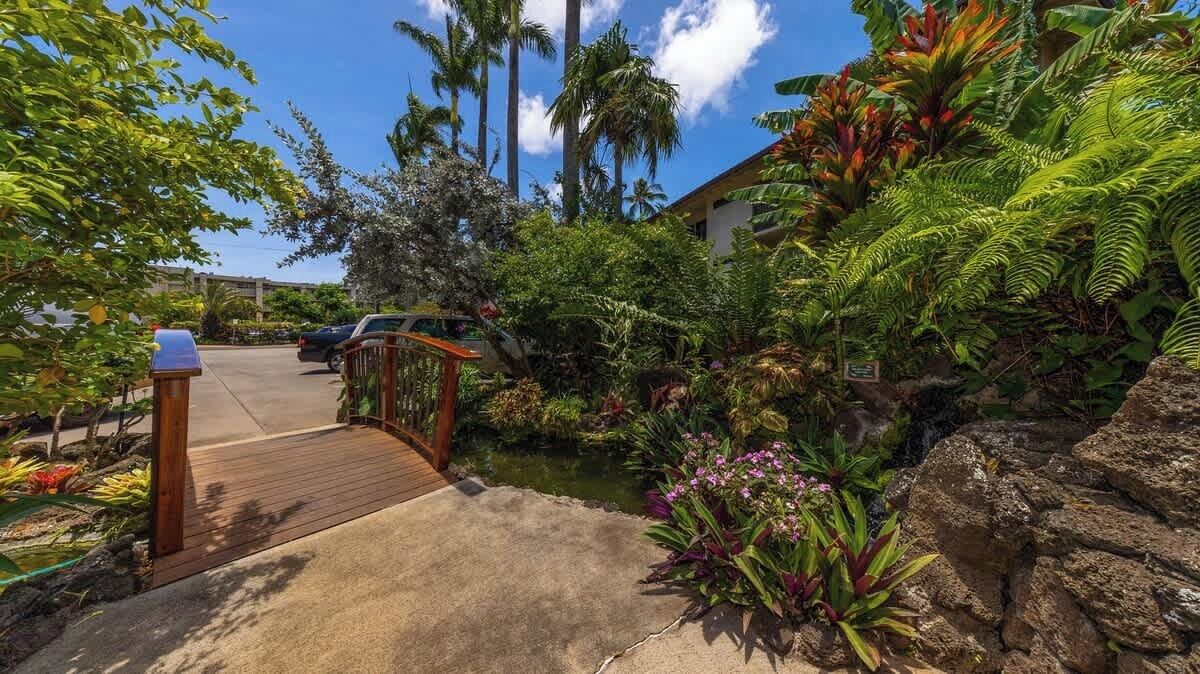 A tropical garden with a wooden bridge, a pond, and various plants.