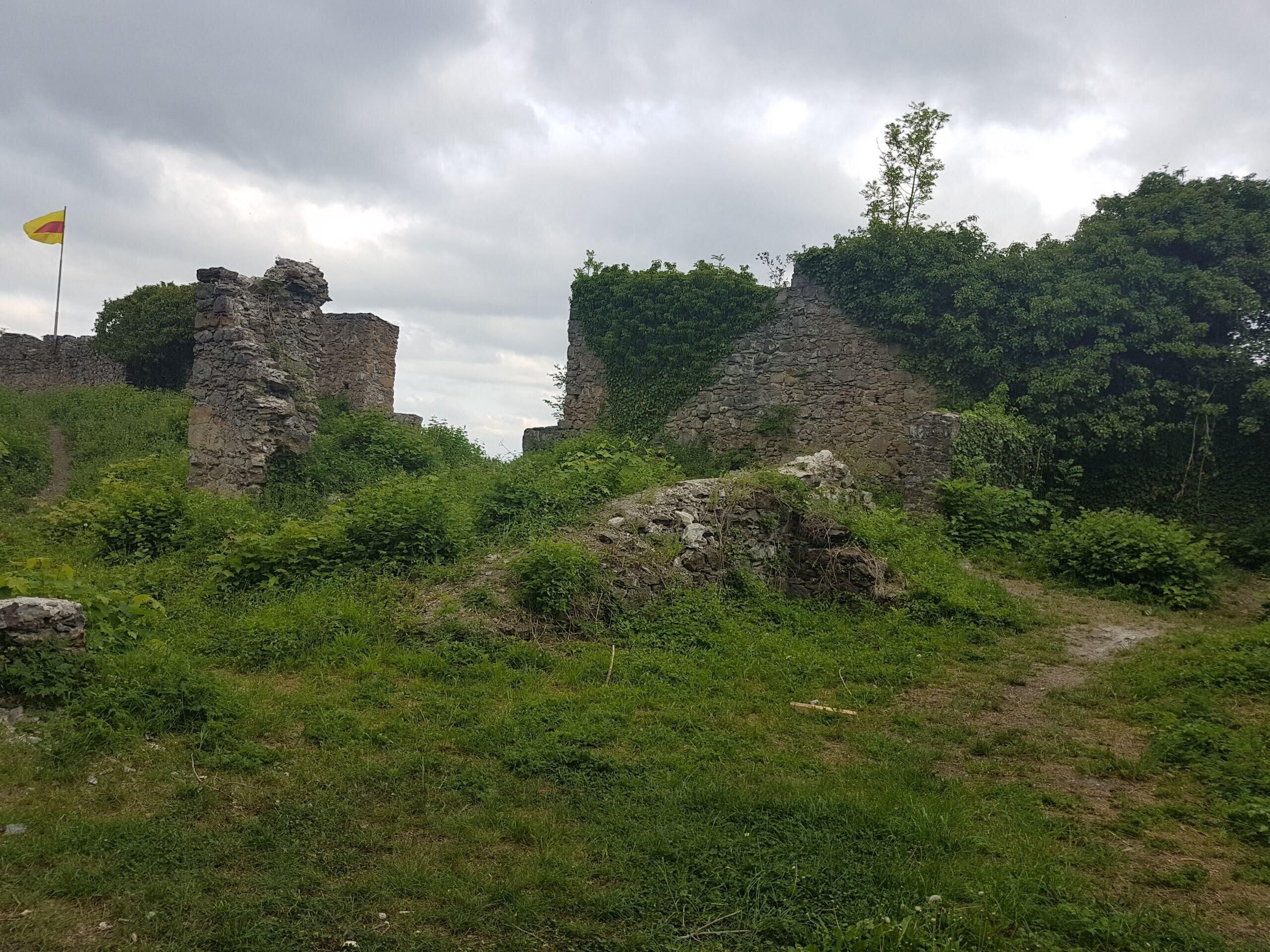 Ancient stone ruins surrounded by lush greenery.
