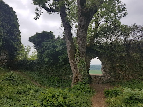 Moderne 2 Zimmer Ferienwohnung, ca. 70qm mit Terrasse und Garten, WiFi