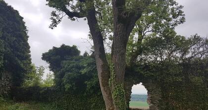 Moderne 2 Zimmer Ferienwohnung, ca. 70qm mit Terrasse und Garten, WiFi