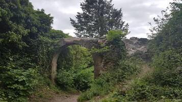 An ancient stone archway surrounded by lush greenery and a dirt path.