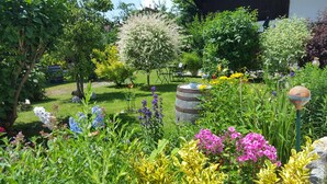 Ein Garten mit verschiedenen Pflanzen und Blumen, einem Holzfass und einem Tisch mit Stühlen.