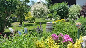 Escape to a serene garden oasis with lush greenery and vibrant blooms.