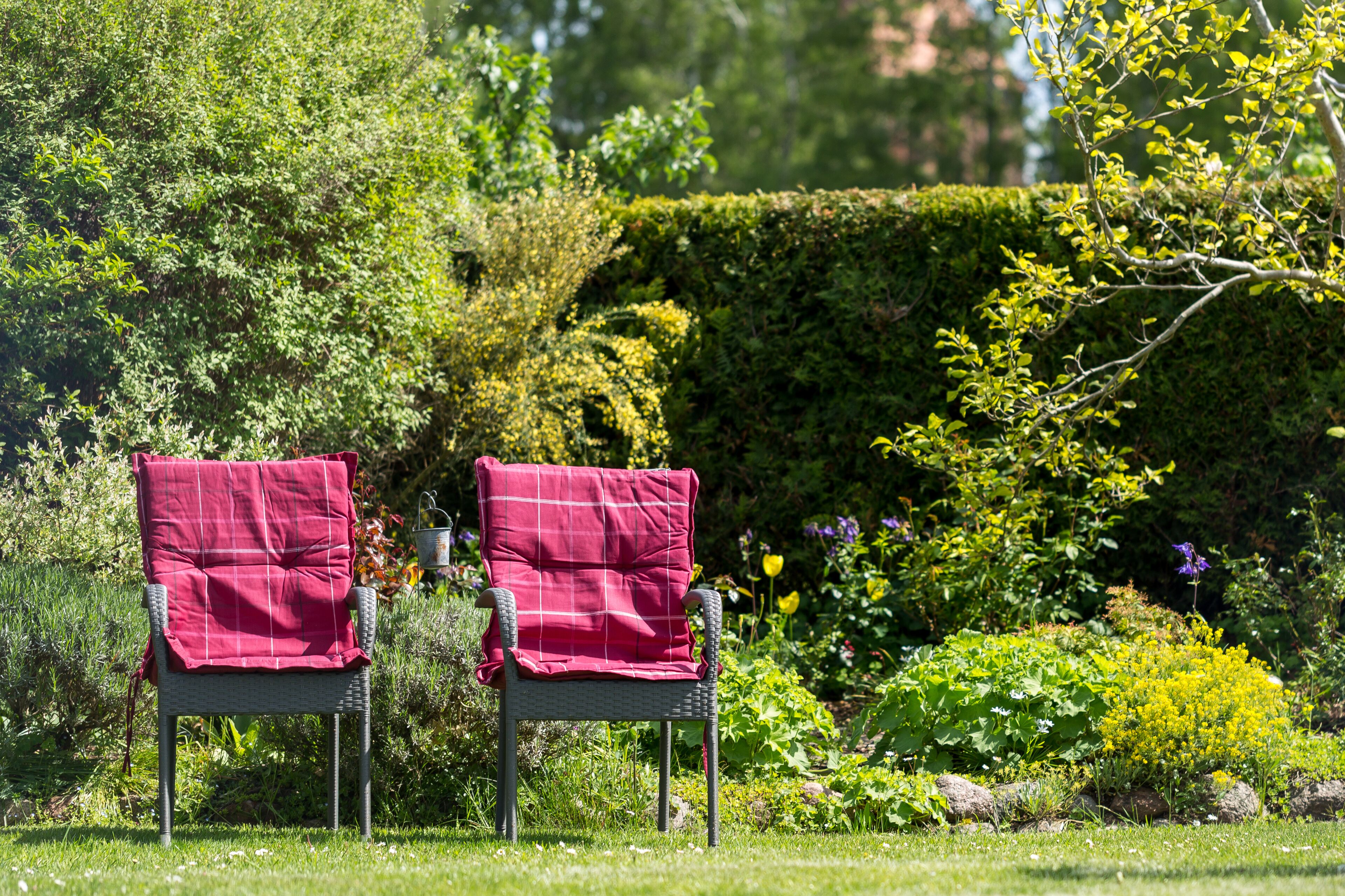 Áreas de la propiedad