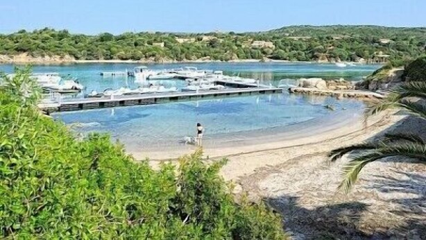 A marina with boats docked, a clear blue pool, and a beach area.