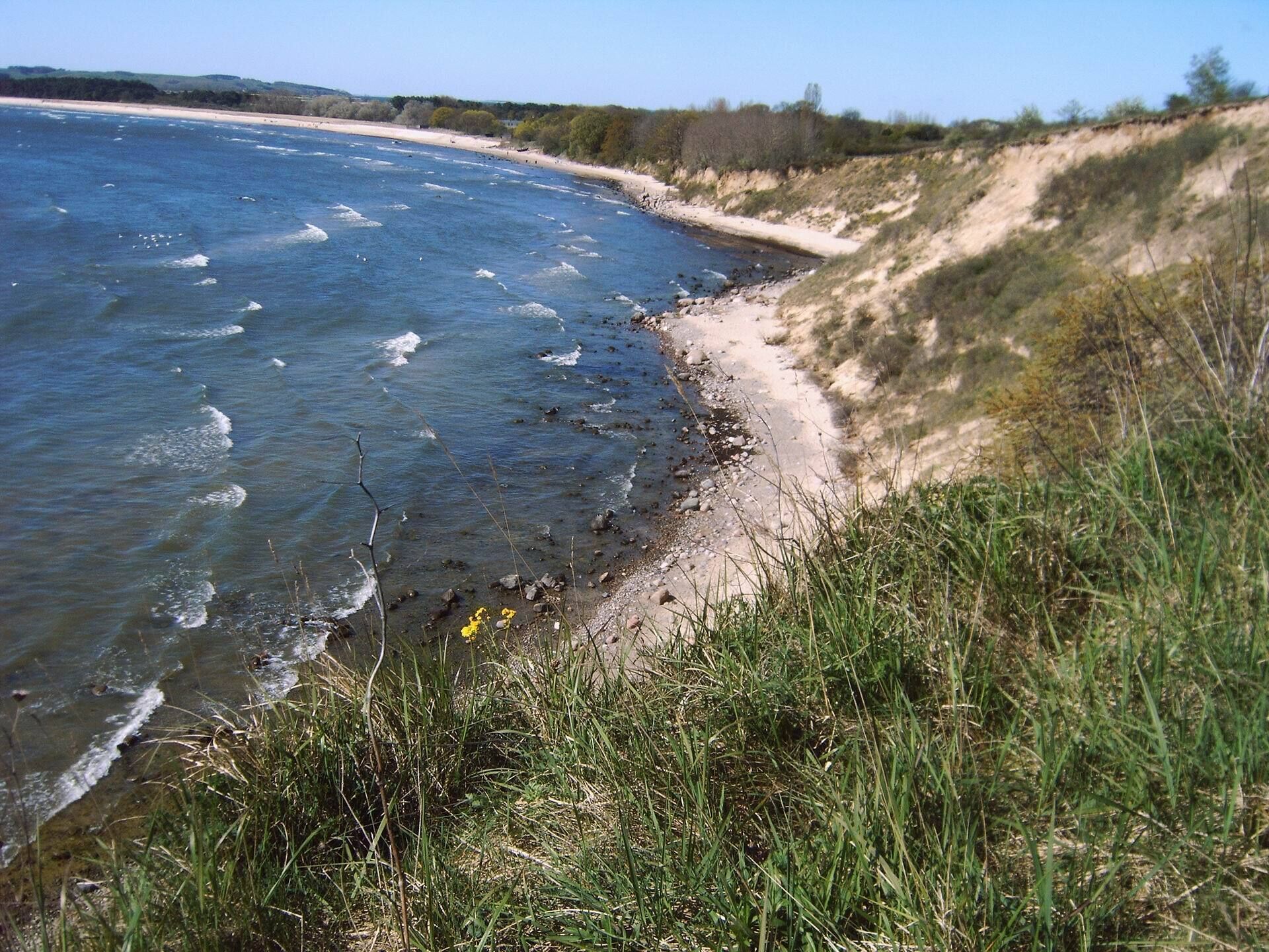Un paysage côtier avec une plage de sable et des dunes herbeuses.