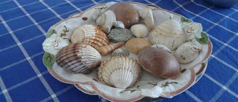 A plate of various seashells on a blue checkered tablecloth.