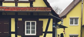 Salomé and Fritz's