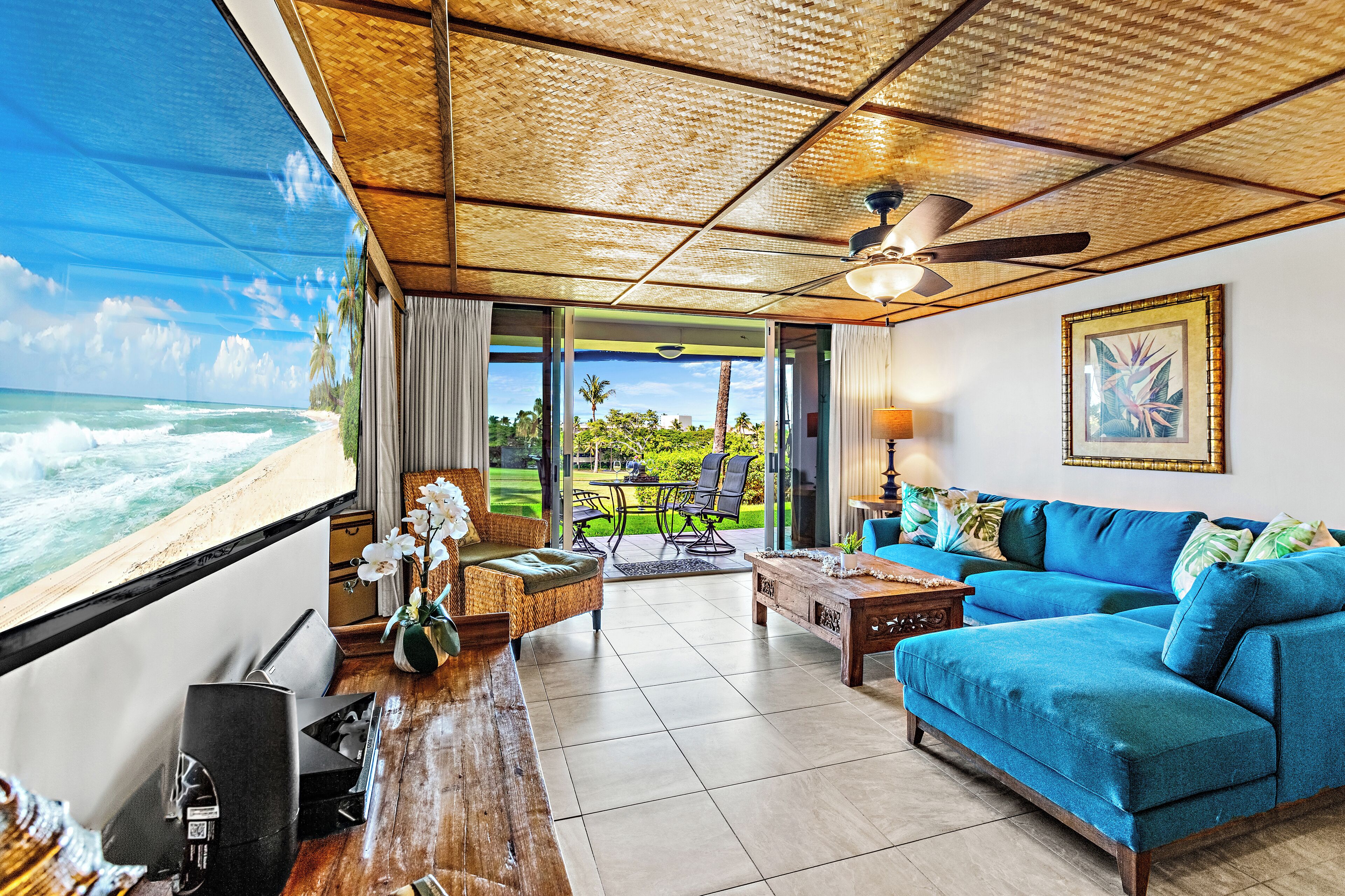 电视、DVD 播放器