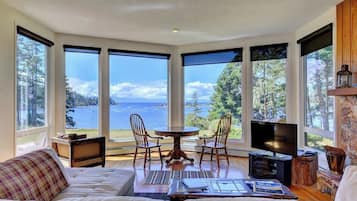 Televisio, takka, DVD-soitin, työhuone