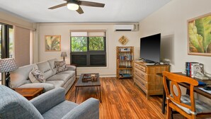 TV, DVD player, stereo