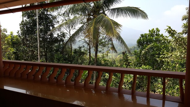 Un balcon offrant une vue sur une végétation luxuriante et des palmiers.