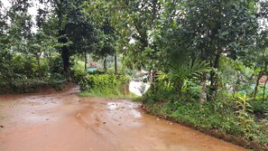 Property grounds - Homestay for families (Kalpetta, Wayanad)