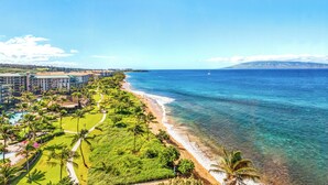 Un complexe hôtelier situé en bord de mer, doté d’une piscine et d’une végétation luxuriante.