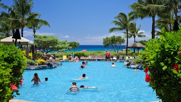 Une piscine entourée de palmiers, avec des personnes qui nagent et se détendent, et d’où l’on peut admirer la vue sur l’océan.