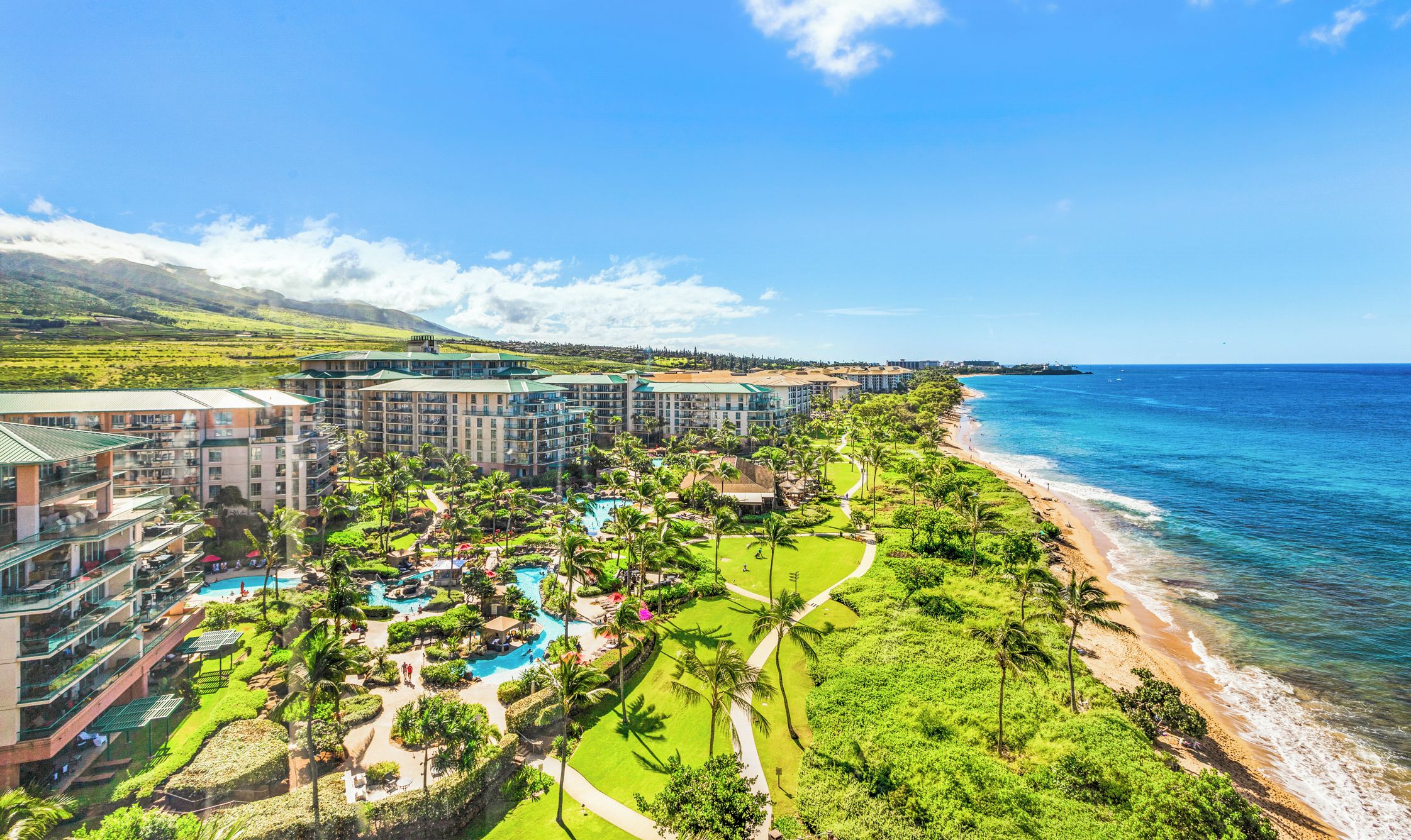 A resort with multiple buildings, a beachfront, and a pool area.