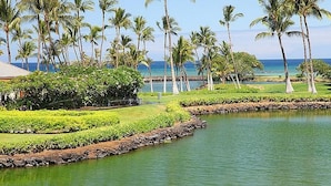 A tropical resort with a water body, palm trees, and a view of the ocean.