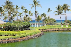 Enjoy a tranquil beachfront setting with a beautifully maintained garden and stunning views of the calm water.