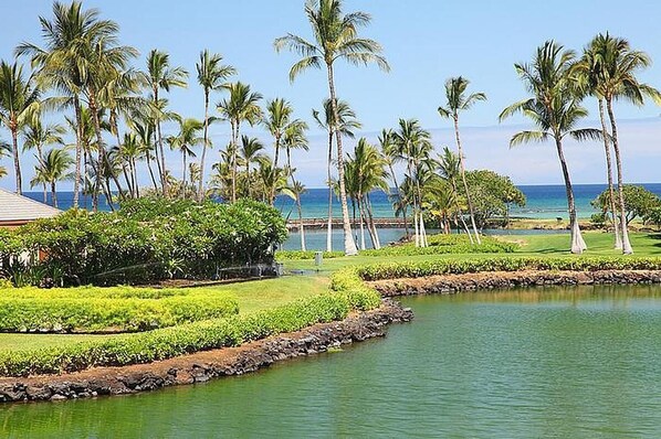 A tropical resort with a water body, palm trees, and a view of the ocean. - Mauna Lani Terrace E201 (Kamuela)