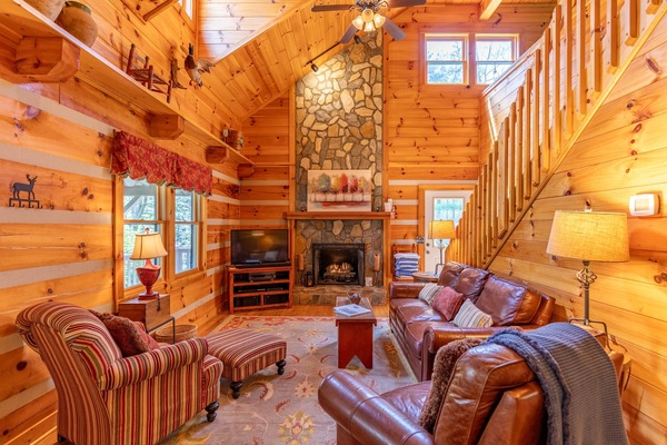 Flatskjerm-TV, peis, DVD-spiller og bøker