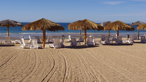 Una playa con sillones blancos y sombrillas de paja, dispuestos en filas de frente al océano.