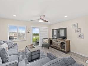 TV, DVD player, video library