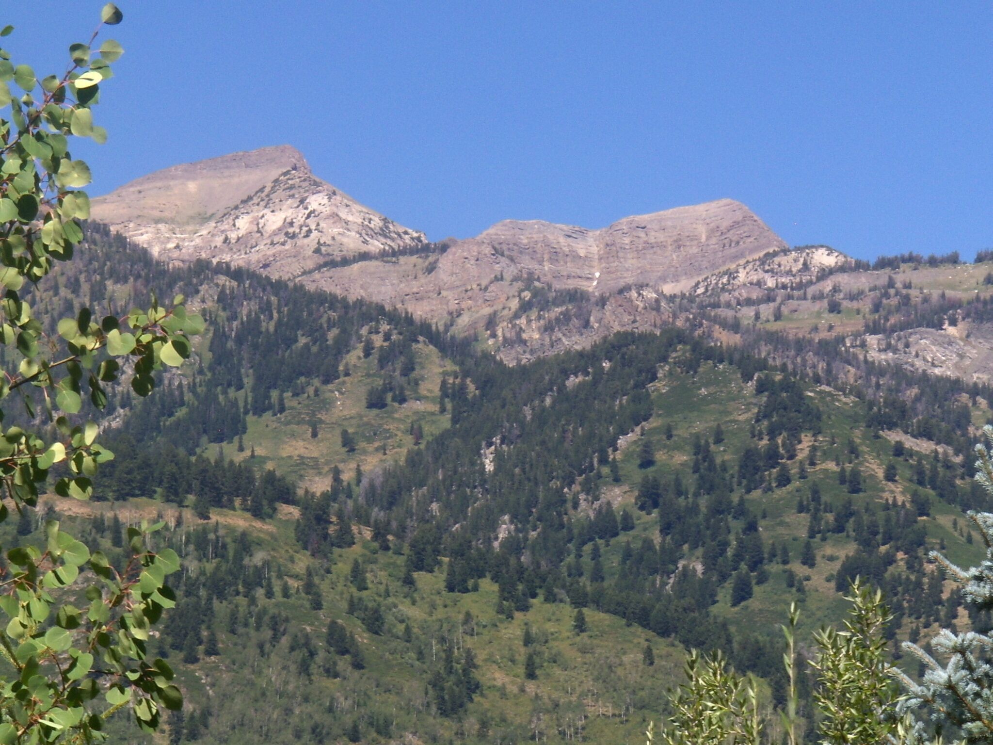 A mountainous landscape with dense forest coverage and rocky peaks.
