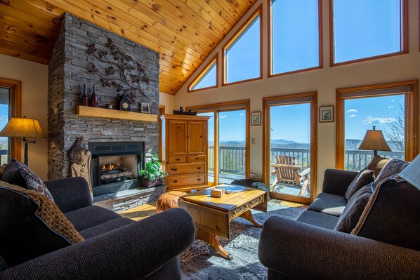 TV, fireplace, video games, DVD player