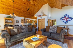 TV, fireplace, video games, DVD player