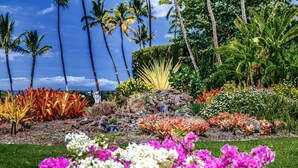 A tropical garden with various plants and a small waterfall. - Beachfront Bliss , cancellation 8/15 to 8/22. need a dry place in the storm? (Kihei)