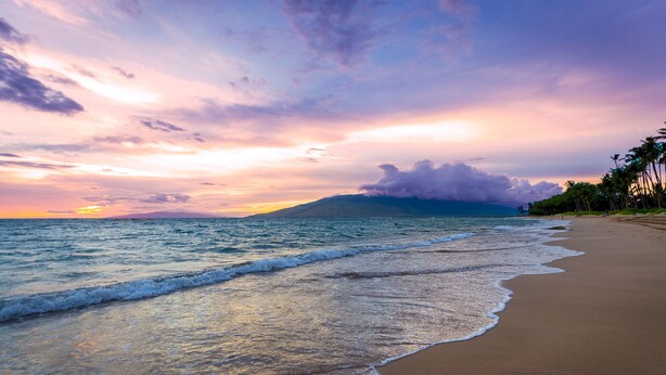 A beach with waves, a sunset, and palm trees. - Beachfront Bliss , cancellation 8/15 to 8/22. need a dry place in the storm? (Kihei)