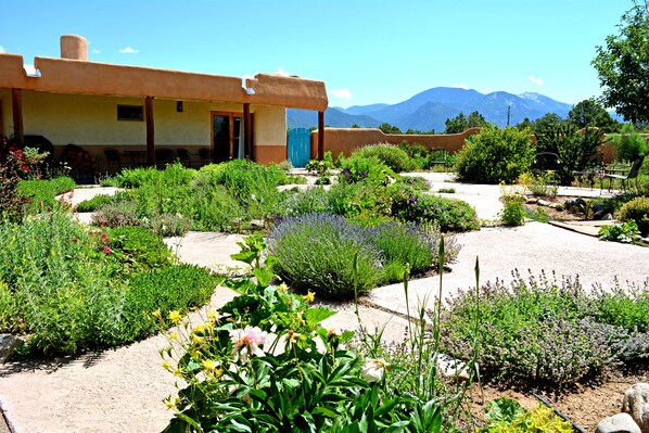 Property grounds - Casa de Little Tree 5 - beautifully landscaped courtyard, private hot tub (Arroyo Seco)