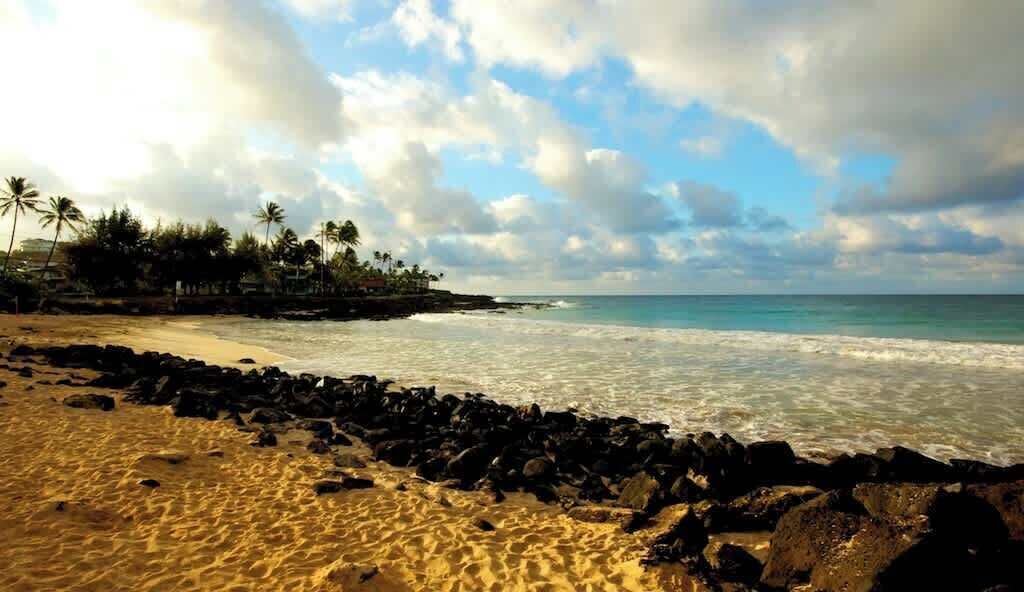 A beach with clear skies, palm trees, and rocky shoreline.