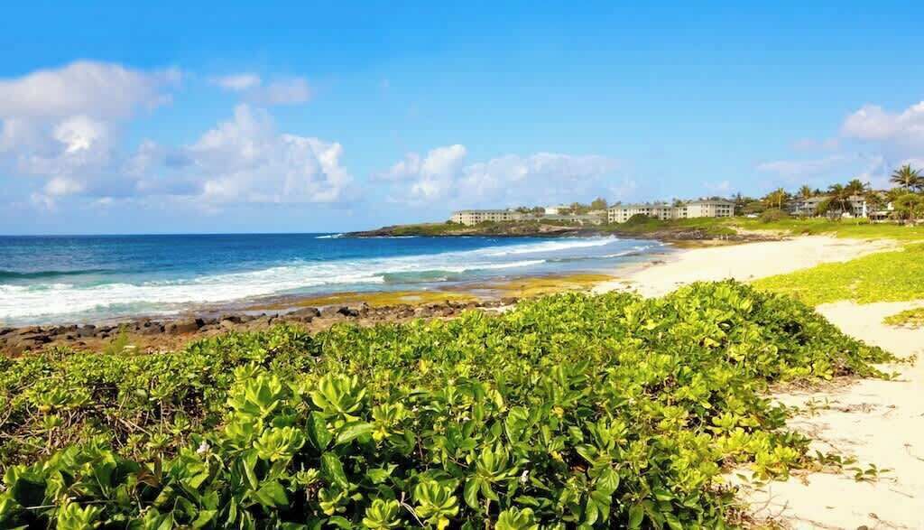Una playa con vegetación verde al frente, una orilla arenosa y edificios en el fondo.