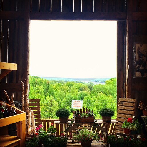 Cedar Hill Cottage perfectly located in downtown Boyne City!