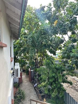 Un sendero estrecho bordeado por abundante vegetación y un edificio con un equipo de aire acondicionado.