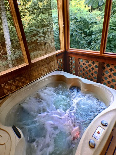 Cozy Getaway Cabin with Hot Tub & Grill Great for Couples or Small Family 334