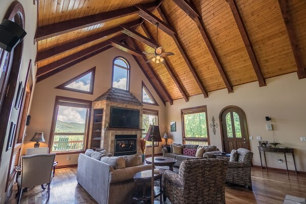 TV, fireplace, video games, DVD player