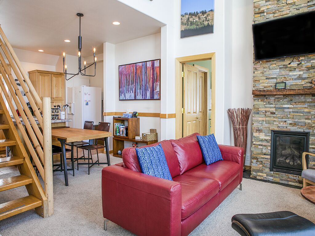 TV connectée, cheminée, lecteur de DVD, livres