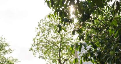 Unique Limestone Pumphouse + Private Hot Tub