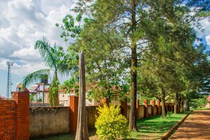 Vista desde la habitación