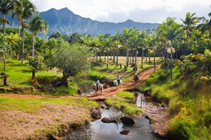 Outdoor dining - Wailua Bay View 108 Oceanfront, Ground floor condo centrally located (Wailua)