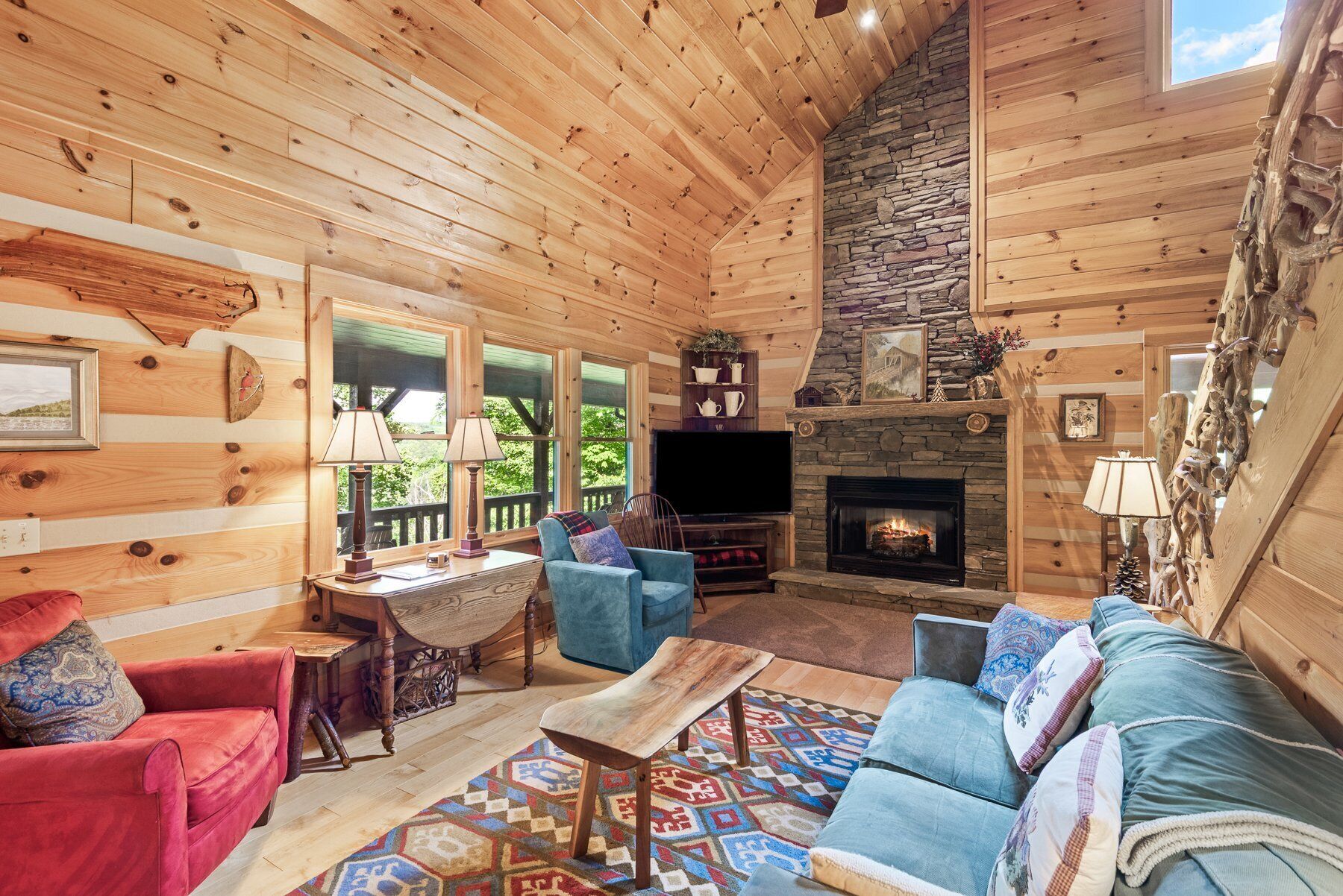 TV, fireplace, DVD player, books