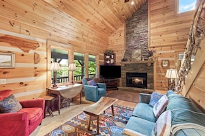 Televisión, chimenea, reproductor de DVD y libros