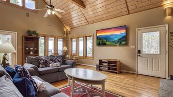 Télévision, cheminée, lecteur de DVD, chaßne hi-fi