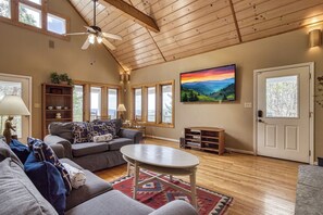 تلفزيون، مدفأة، مشغل دي في دي، ستيريو