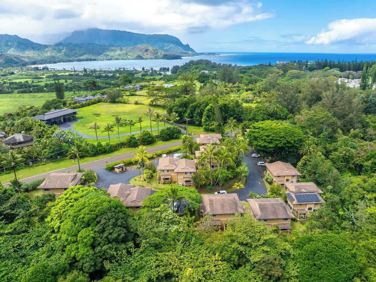 A residential area with houses surrounded by lush greenery and a view of the ocean.