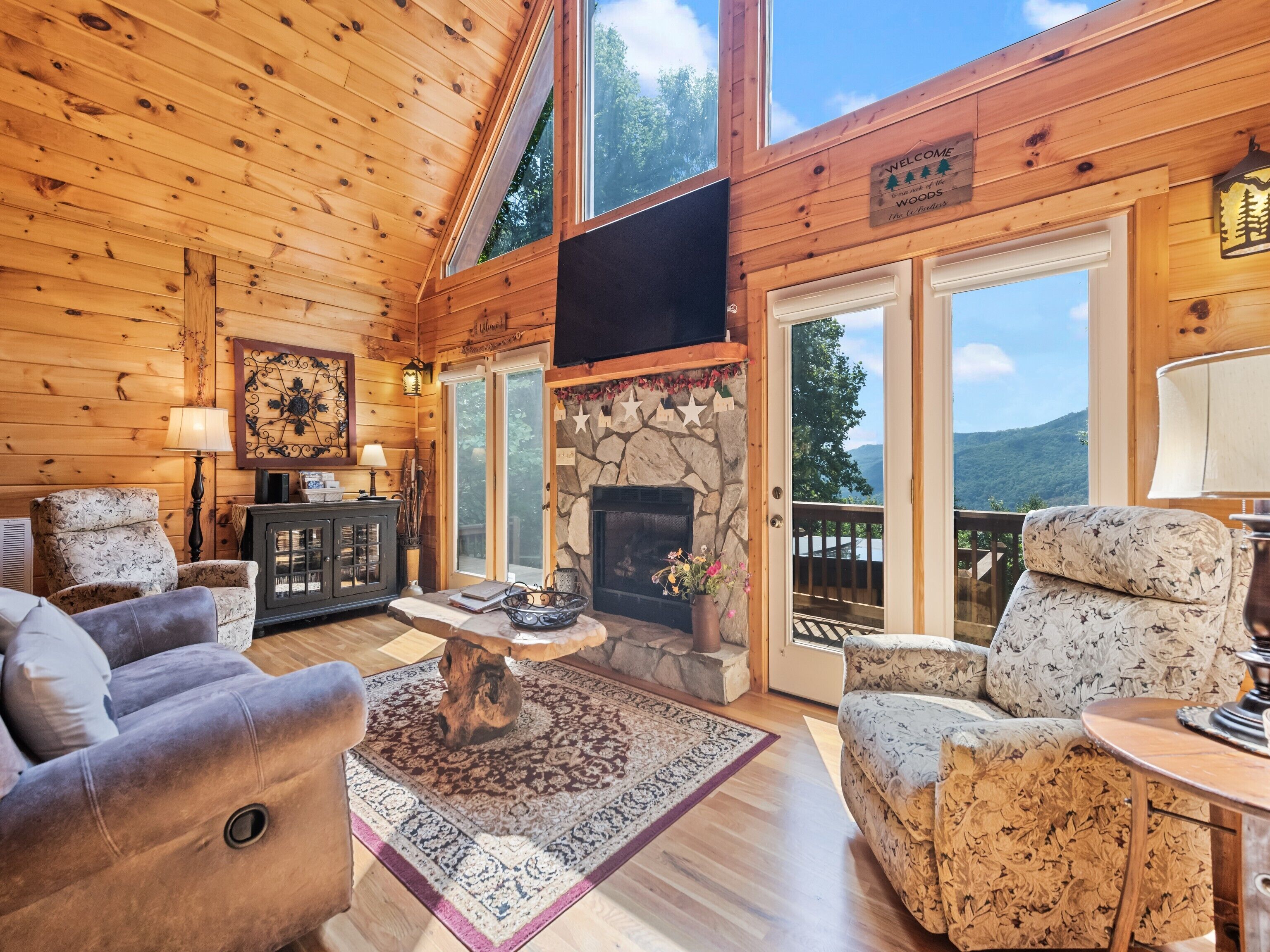 TV, fireplace, DVD player