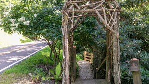 Un arco de madera rústica que da paso a una escalera de madera, rodeada de abundante follaje.