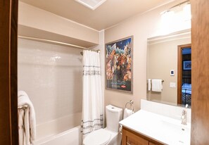 Combined shower/bathtub, hair dryer, towels